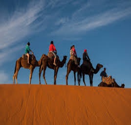 Sahara Adventure Odyssey Experience